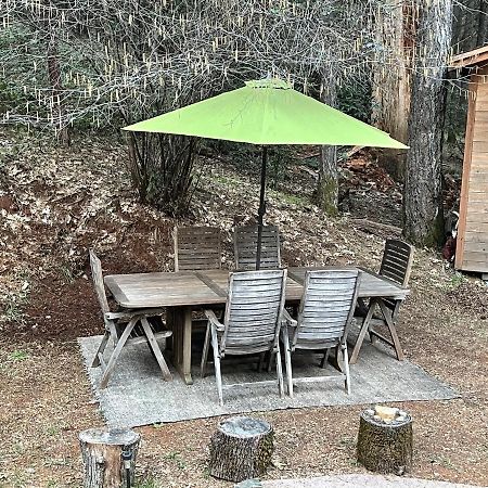 A Lovely Cabin House At Way Woods Retreat With Outdoor Hot Tub! - By Sacred Hub Mgmt Foresthill Экстерьер фото
